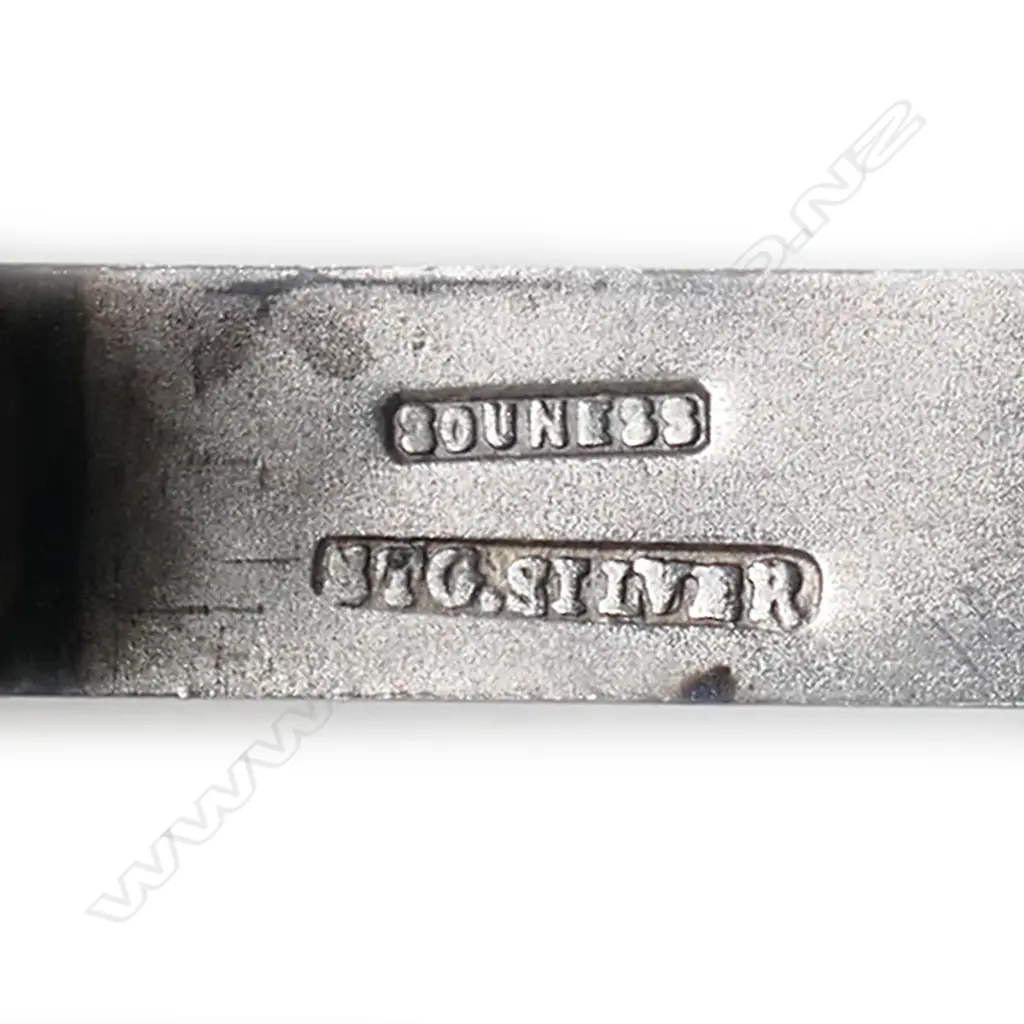 Stewart Dawson (Dunedin) large silver vesta, Image 1++